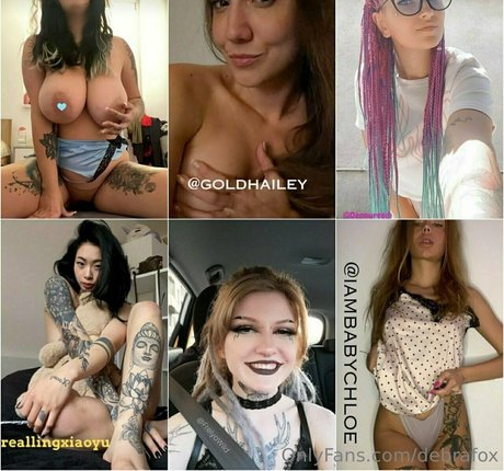 debrafox étoile de l'art galeries