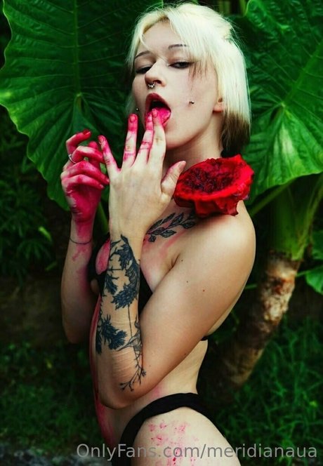 meridianaua art star du porno img