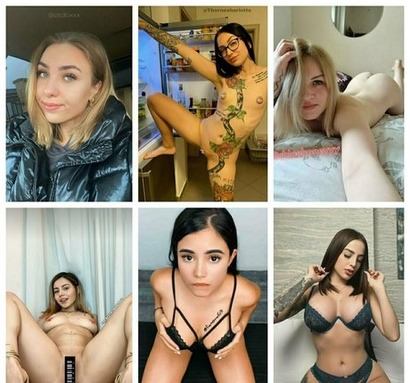 sexyhalil art étoile galerie