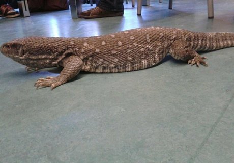 amateurs courbés onlyfans pornographique sympa photo