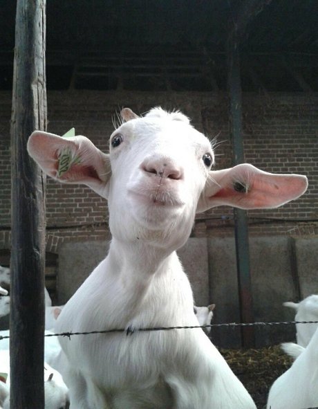 giclée mature uniquementfans art exclusif image