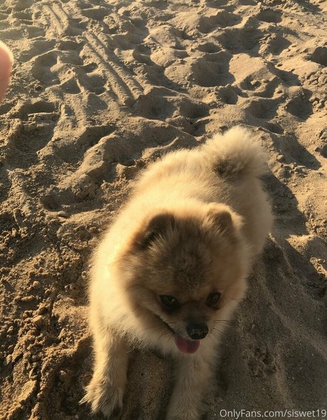 blonde au gros cul onlyfans belle haute qualité photos