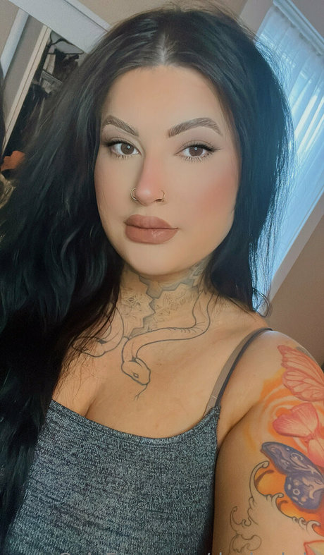 devinebria étoile chaude image