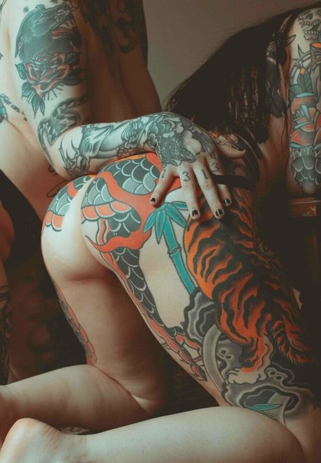 flareonx haut étoile des photos