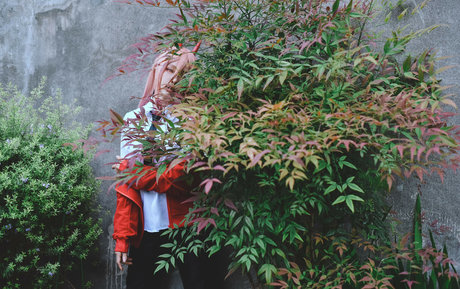 fans de cul transexuelle uniquement haut de gamme images