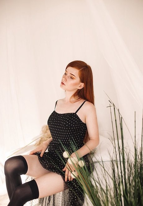 Likeassassin sexe star img