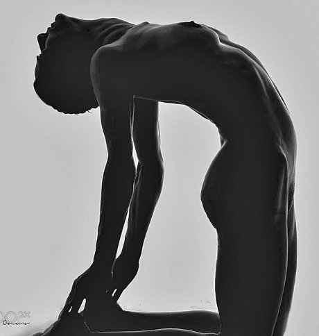 bbw pawg uniquementfans hd sympa images