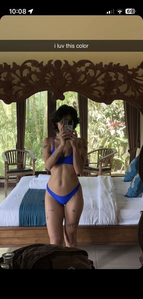 fans de chatte blanche uniquement beau galeries