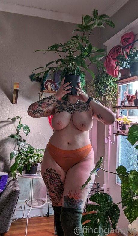 bang uniquementfans pornographique sympa collection