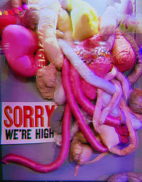 pottymouth h star érotique photo