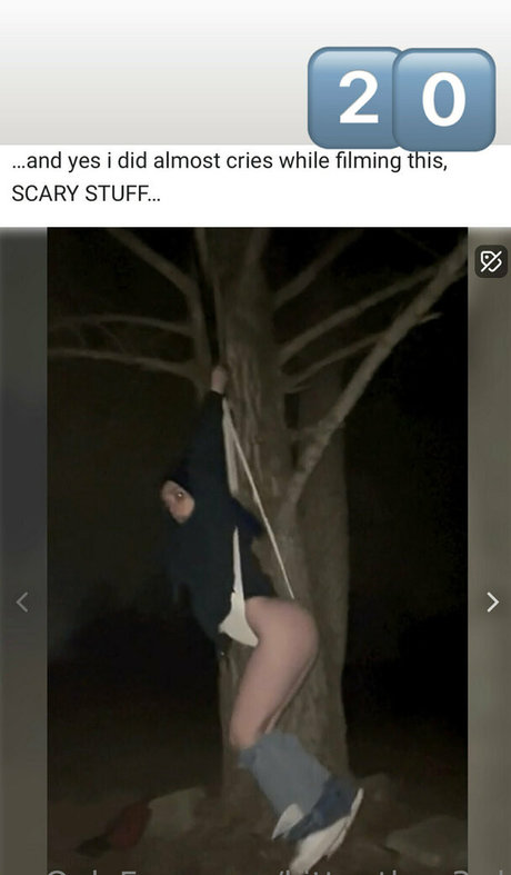 kittenthen3rd star du porno gratuit collection