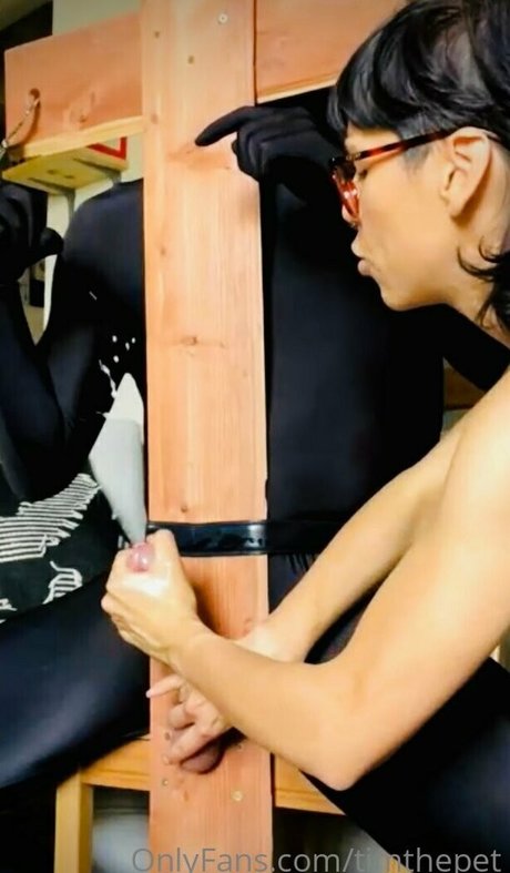 timthepet nus star du porno image