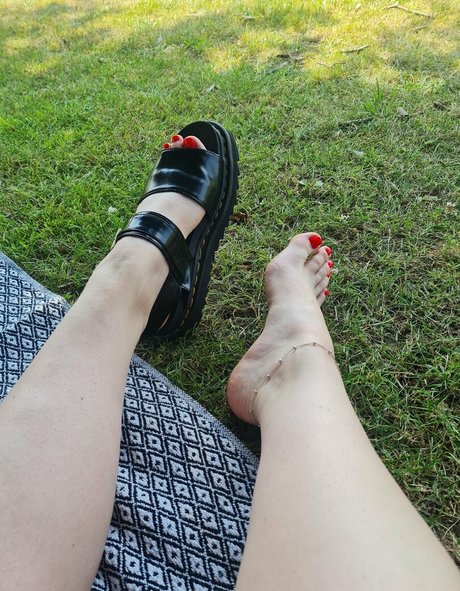 queengf90lite étoile gratuite image