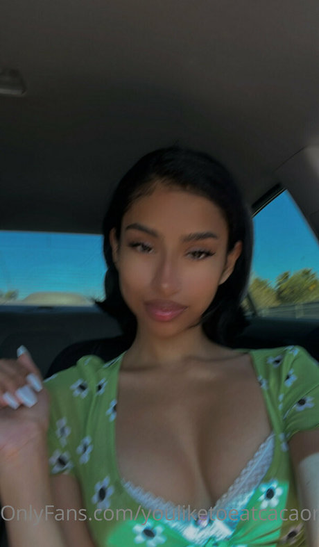 theultimatedeciever modèle collection