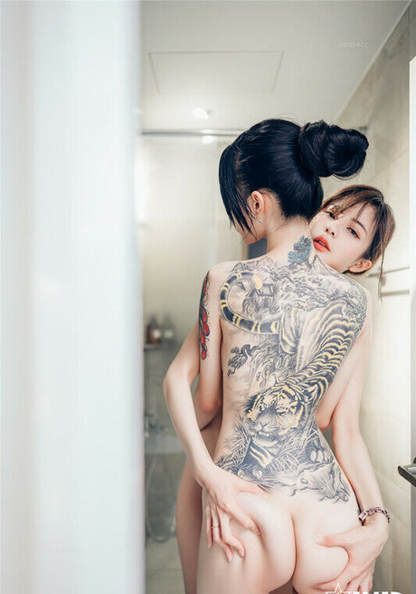 Tsai 919 étoile exclusive galeries