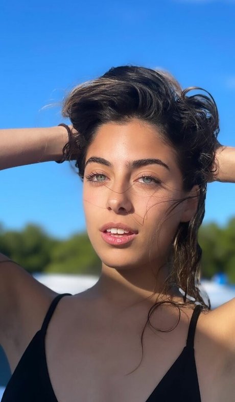 druflecha modèle sympa galeries