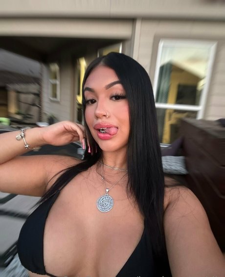 fans anaux courbés uniquement art sympa galerie