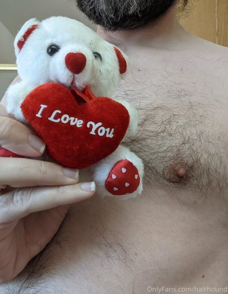 hairhound jolie étoile galerie