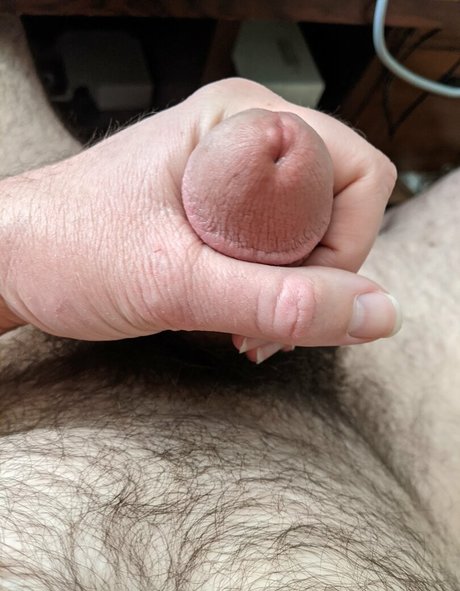 hairhound star du porno hd collection