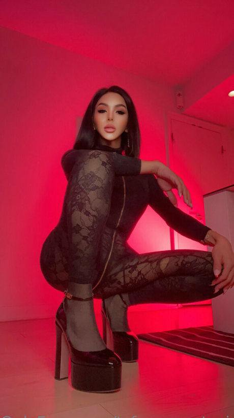 tsfoxyanastasia modèle gratuit collection