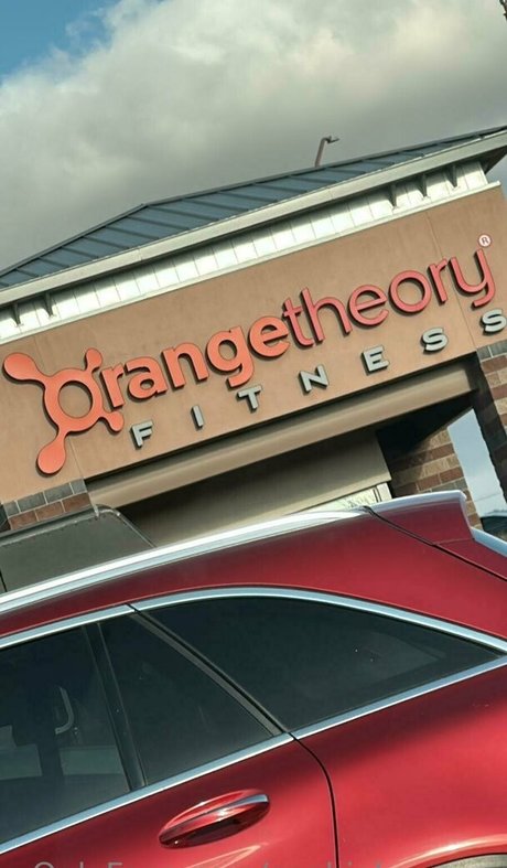 Sophialeonexo modèle artistique galeries