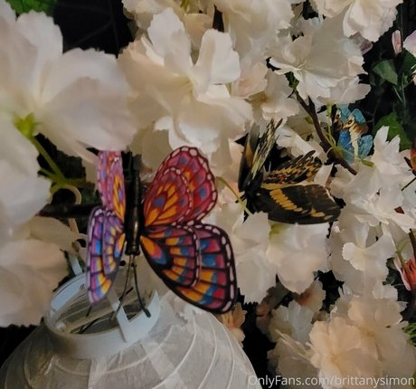 fans gays potelés uniquement haut galerie