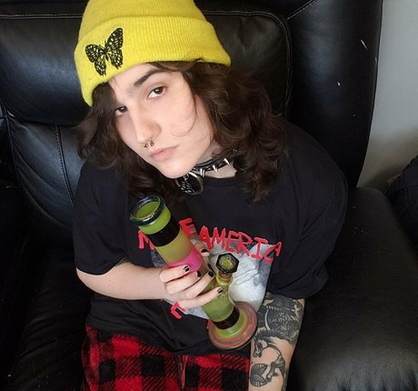 skyyshark étoile adulte image