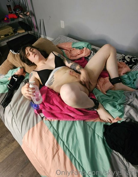 skyyshark étoile de haute qualité images