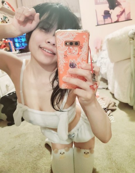 Aki kitty étoile gratuite photo