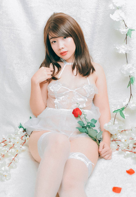 Natsuki Jiro belle étoile collection