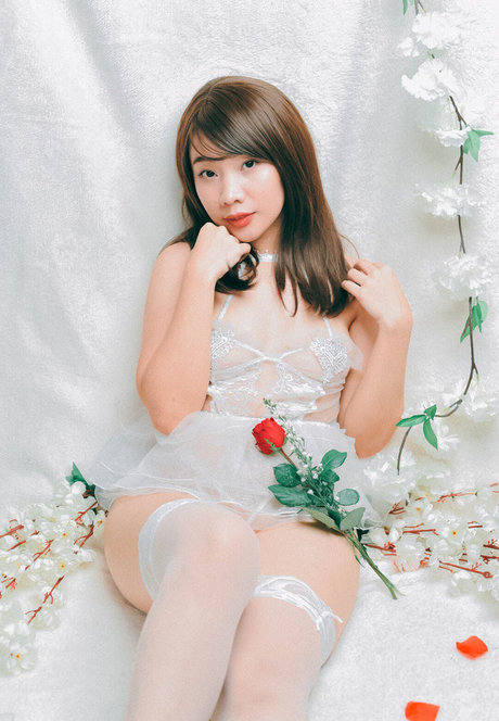 Natsuki Jiro actrice exclusive collection