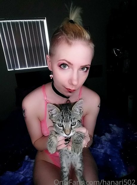hanari502 star du porno galerie