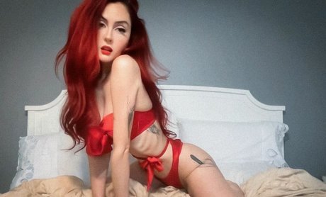 chaton potelé uniquementfans top jolie photo