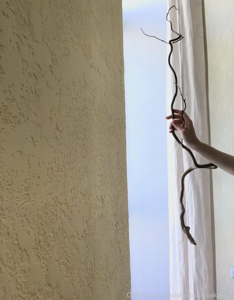 idontwannaklesch étoile sympa archive