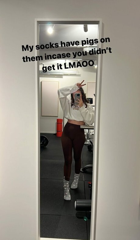 Paladinamber étoile magnifique collection