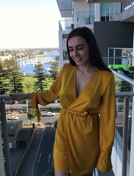 Paladinamber modèle sympa img