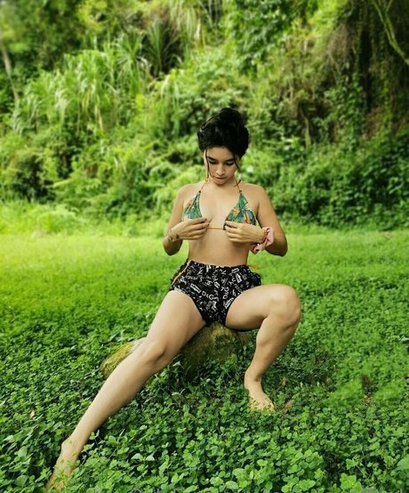 jaymeswafford nus étoiles collection