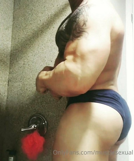 musclesexual joli modèle galerie