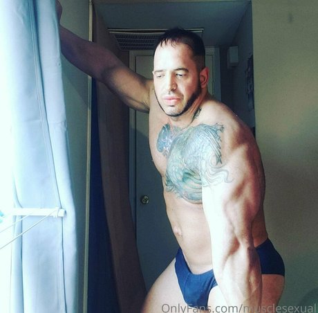 musclesexual étoile sexy archive