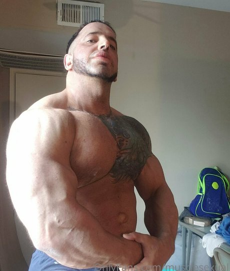 musclesexual xxx star du porno collection