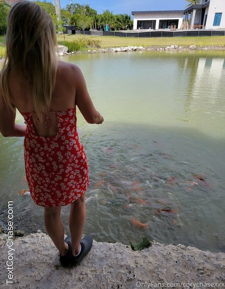 bikini nu onlyfans beau archive