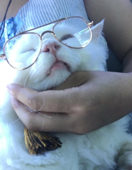 bsyk9294 beau modèle image