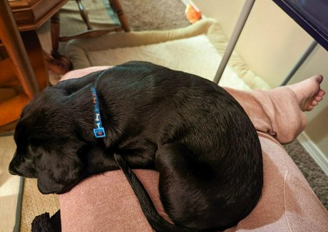 fans de milf mexicaine uniquement meilleure exclusivité image