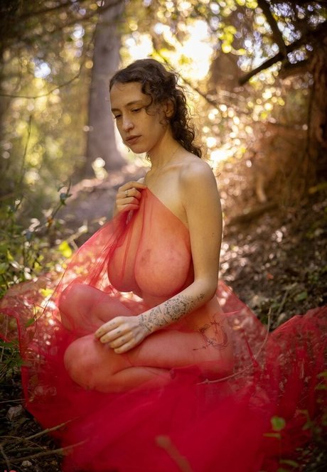 fans dia uniquement beau meilleur archive