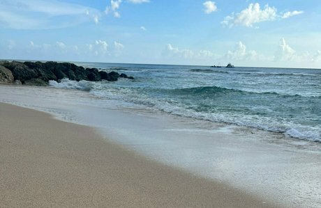 floraivyfree étoile magnifique archive