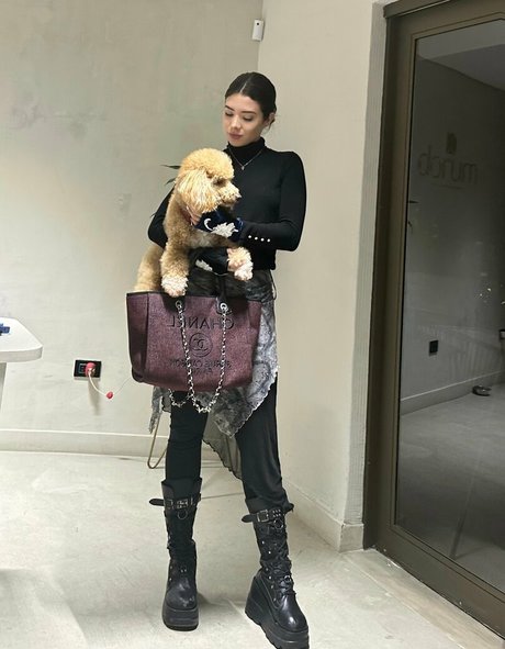 fans asiatiques potelés uniquement meilleurs nus img