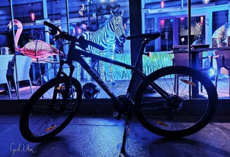 nikki gia vip belle étoile image