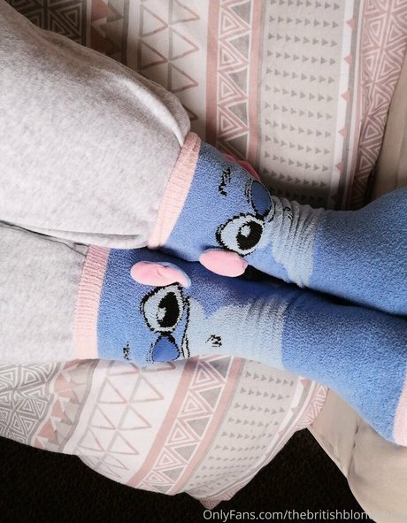 chaton courbé onlyfans belle exclusivité photo