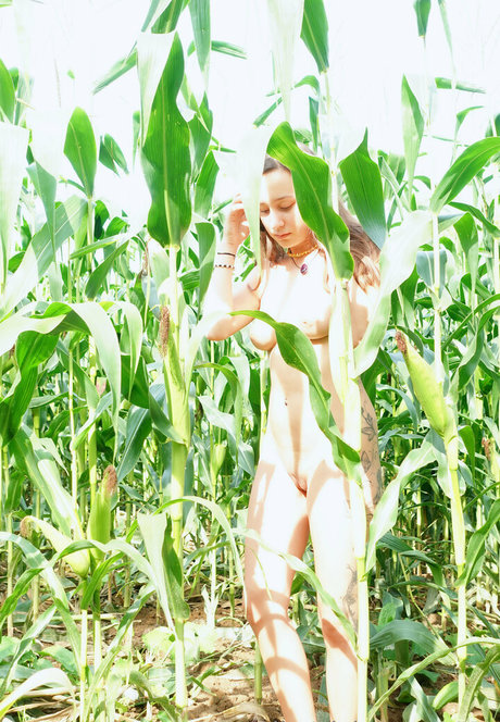 milavisions modèle porno photo