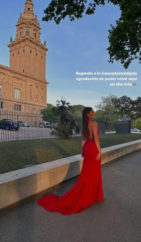 paulagonu étoile galerie